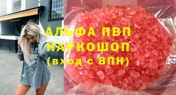 гидра Алексин