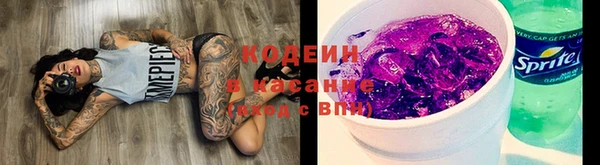 соль ск Алзамай