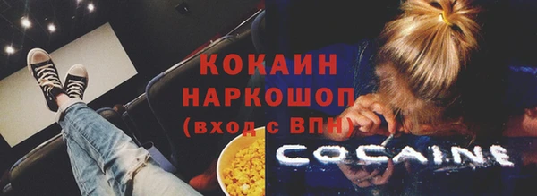 соль ск Алзамай