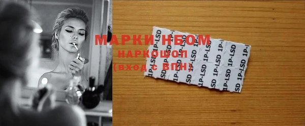 гидра Алексин