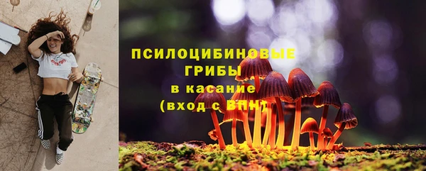 соль ск Алзамай