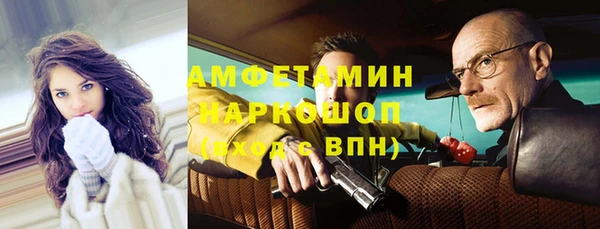 гидра Алексин